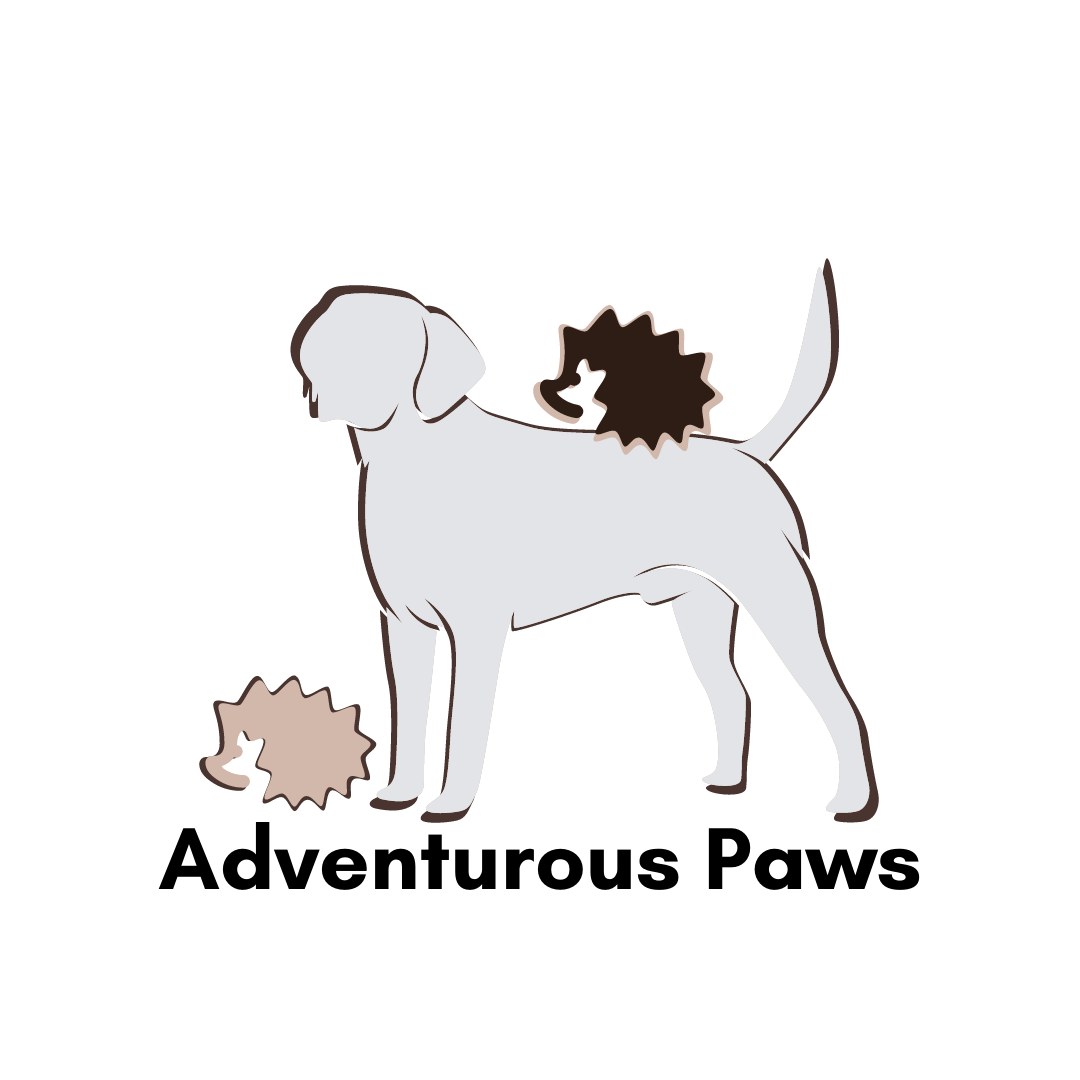 Adventurous Paws