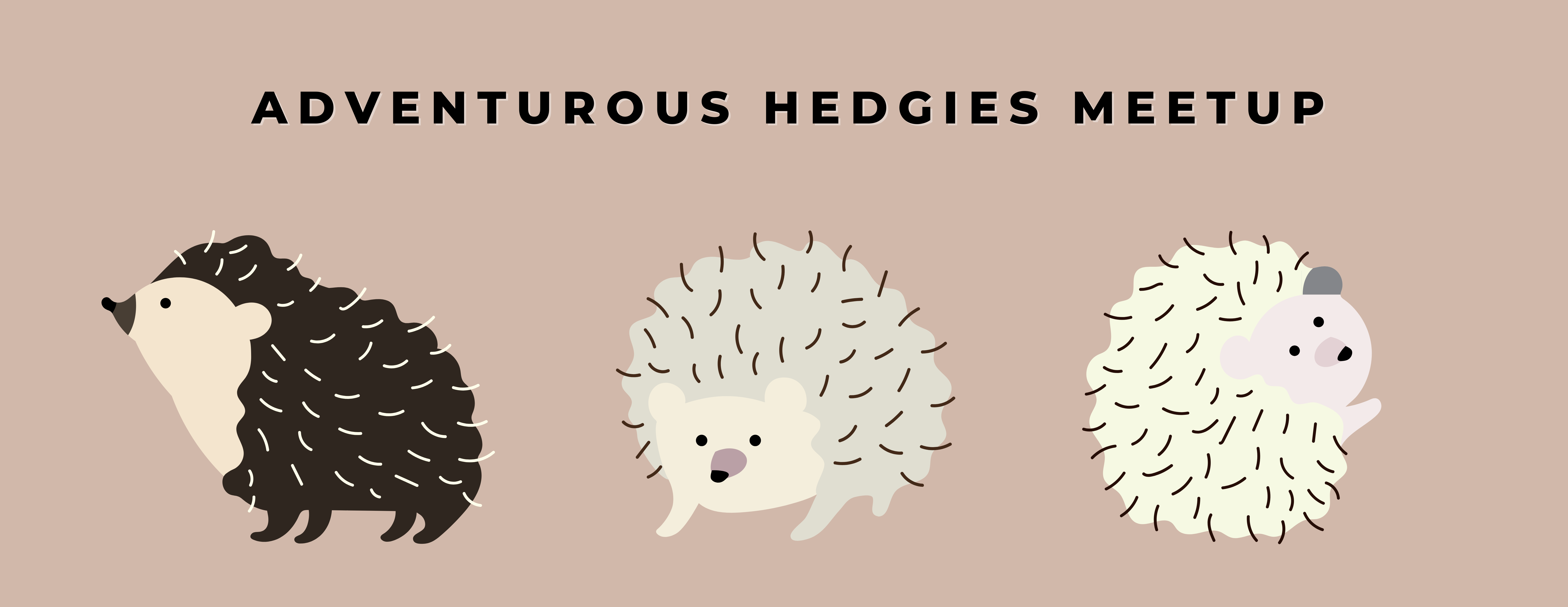 Vancouver Hedgehog Meetup – Summer 2022