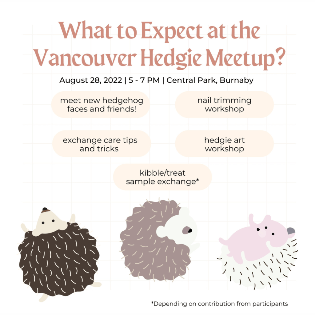 What to expect at the Vancouver hedgie meetup? Meet new hedgehog faces and friends, nail trimming workshop, exchange care tips and tricks, hedgie art workshop, kibble/treat sample exchange* (depending on the contribution from participants)